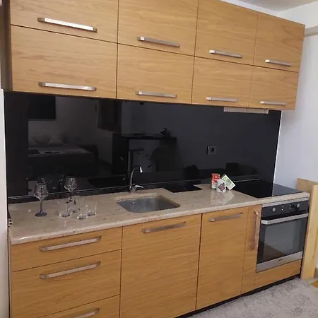Stan Na Dan Skerlic Apartment *