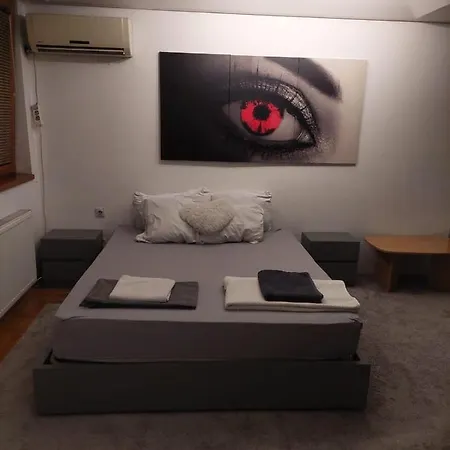Stan Na Dan Skerlic Apartment *